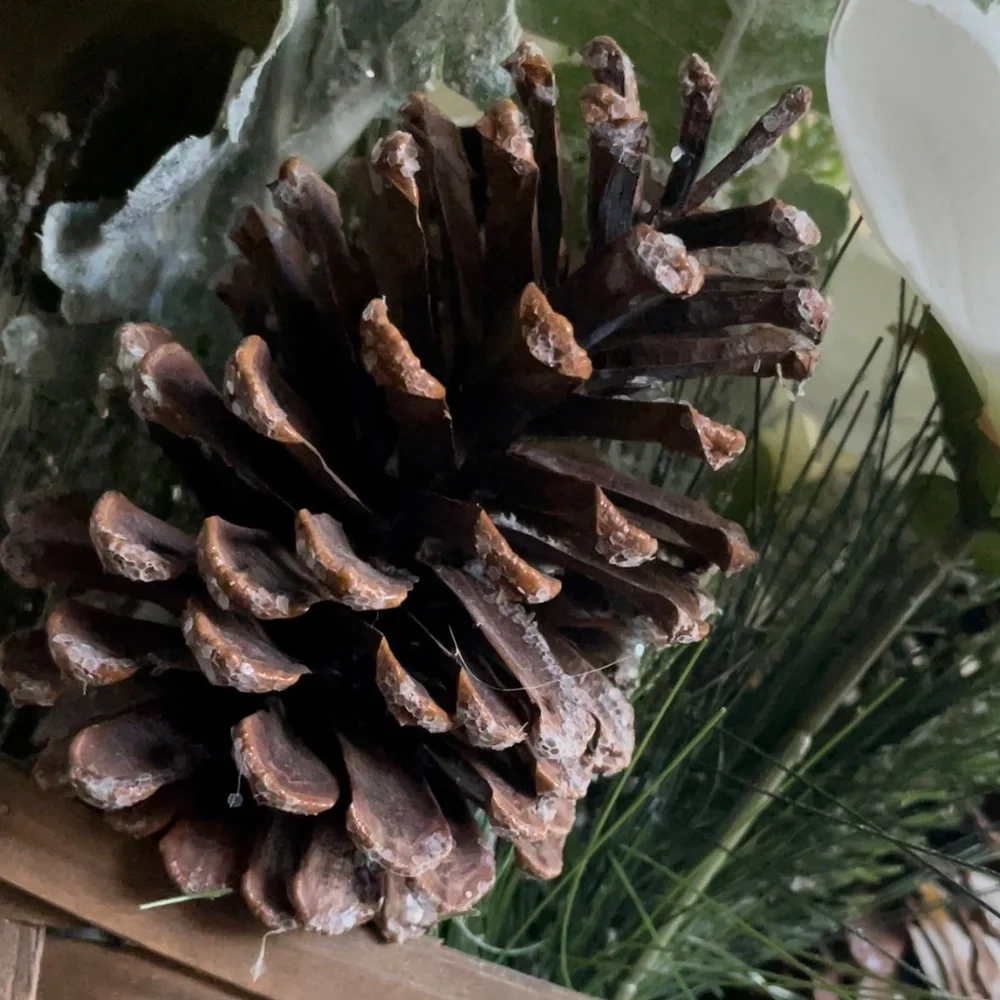 Winter hanging basket floral decor pinecones white flowers pine needles wreath